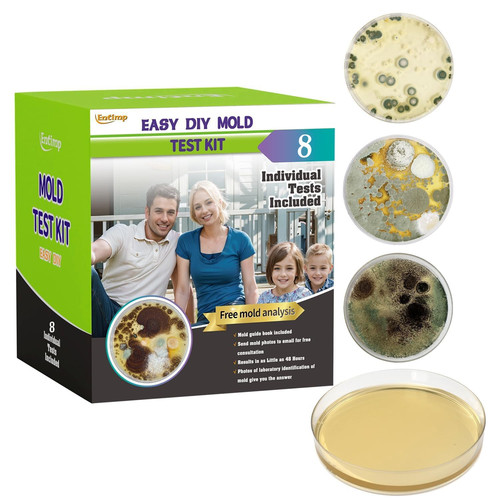 Mold test kit for - test,